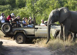 Game Drives V