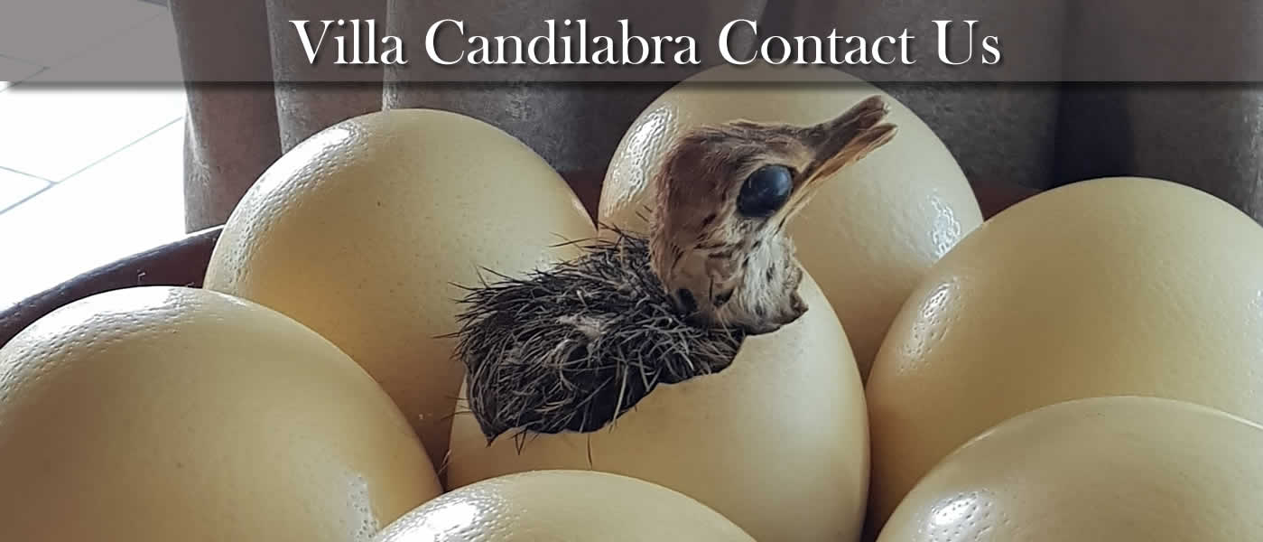 Contact Villa Candilabra in Komatipoort for exclusive  accommodation close to Crocodile Bridge entrance gate to Kruger National Park